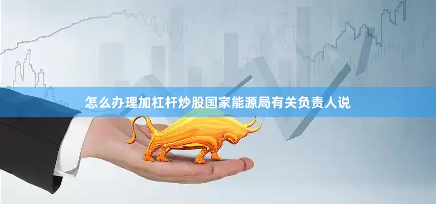 怎么办理加杠杆炒股国家能源局有关负责人说