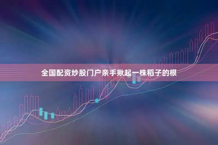 全国配资炒股门户亲手揪起一株稻子的根